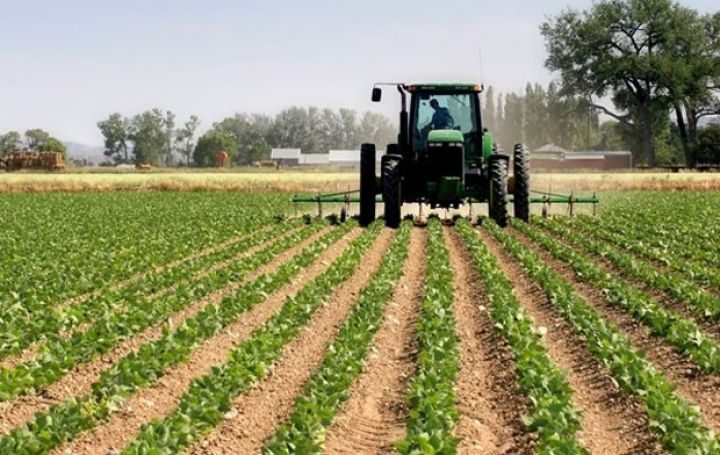 Azərbaycanda torpaqlar Türkiyə təcrübəsilə birləşdiriləcək