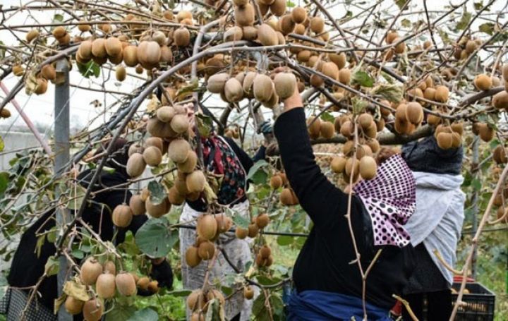 Səbirsizliklə dəmir yolunun istifadəyə verilməsini gözləyirlər 