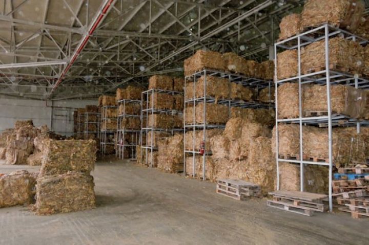 Azərbaycan tütünü Rusiya və Gürcüstan bazarlarına daşınır