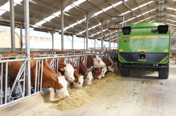 Fermerlərdən taxıl və yem bitkilərinin alışına başlandı