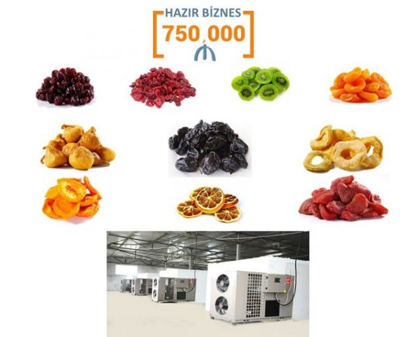 Meyvə-tərəvəz qurutma biznesi satılır 