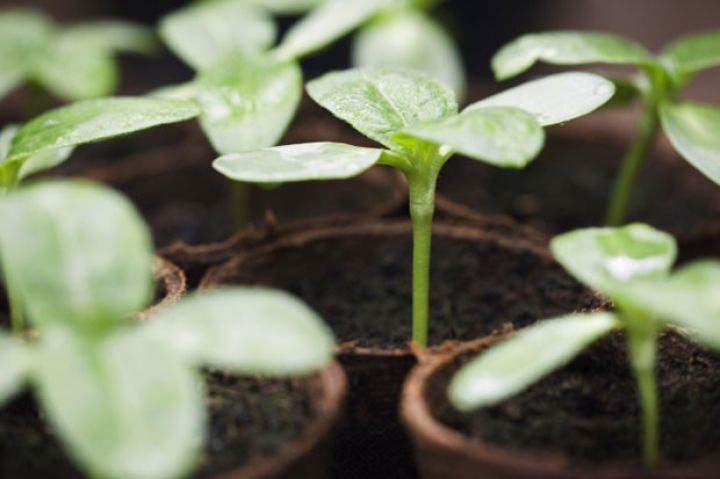 Bankların əsas gəlir mənbəyində yaxşılaşma!