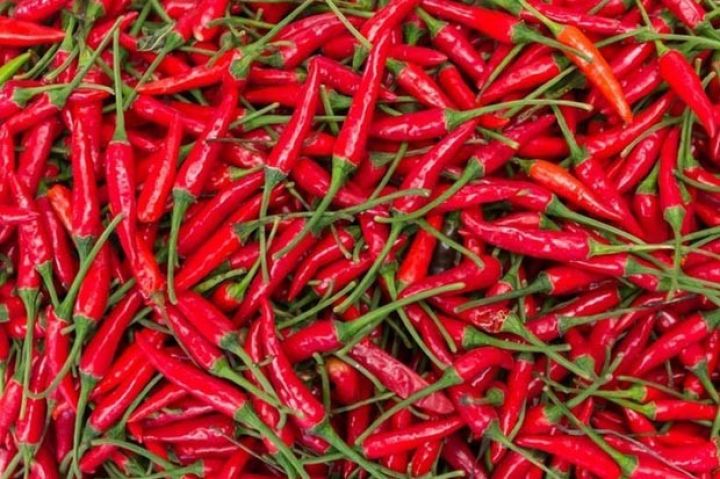 Özbək bibər istehsalçıları xarici tərəfdaş axtarışındadır