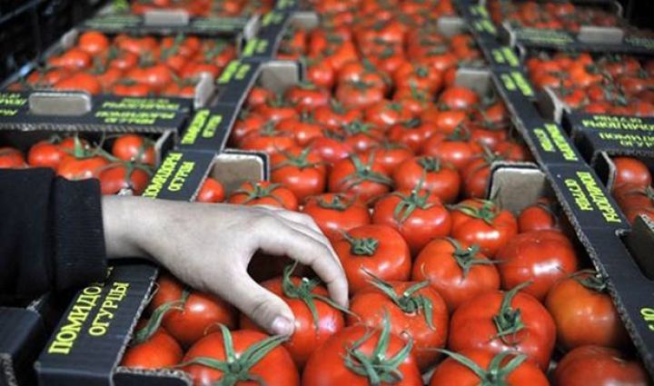 "İşçilərə pomidor paylamaqda pis olan nə var?!"  - "Azərenerji"-dən açıqlama