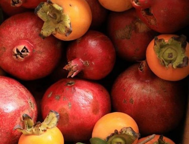 Xurmanın 90 faizdən çoxu, narın isə 30 faizi ixrac olunub