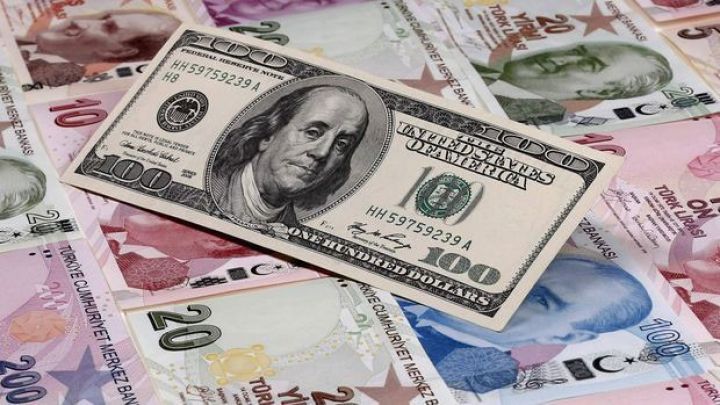 "Dollar ilin birinci yarısını 5.15 lirə səviyyələrində başa vuracaq"