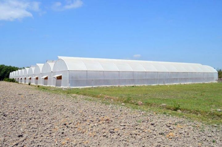 Salyanda istixanaların sayı artırılır