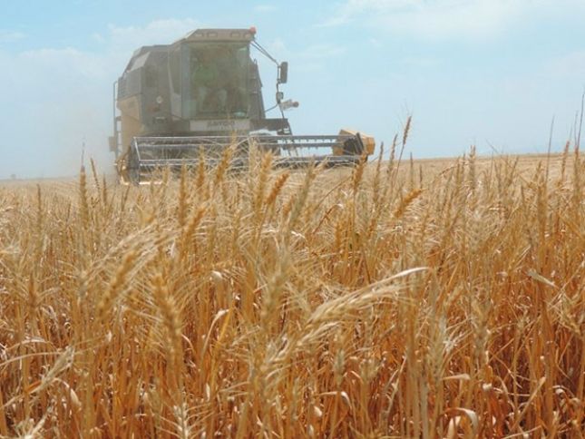 Azərbaycanda 1000-ə yaxın kombayn ilə taxıl biçininə başlanıb