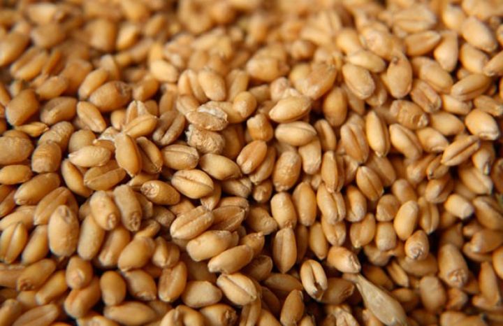 Azərbaycan buğda idxalında böyük artım