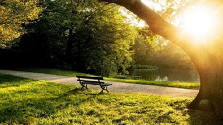 Şənbə gününə olan hava proqnozu açqılandı