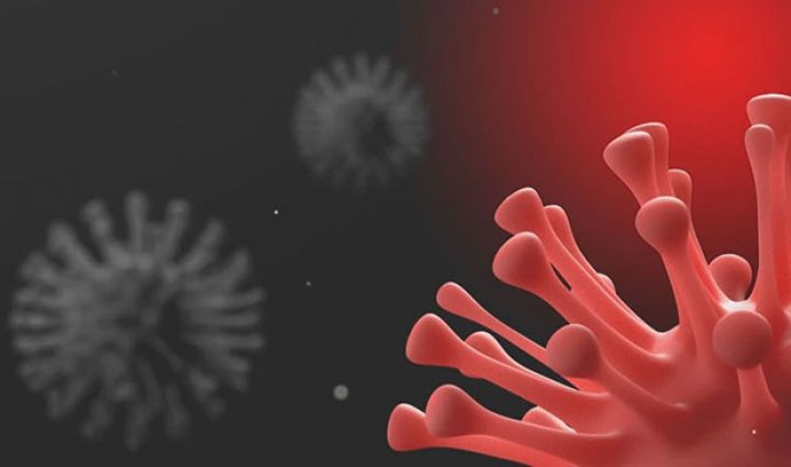 Azərbaycanda koronavirus ilə bağlı son məlumat