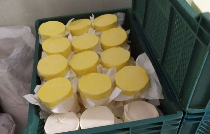 Süd məhsullarının istehsalı müəssisəsində nöqsanlar aşkar olunub