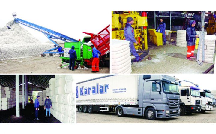 "Elə etsinlər ki, kəndli 90-cı illərdə olduğu kimi, pambıqdan bir daha üz döndərməsin"