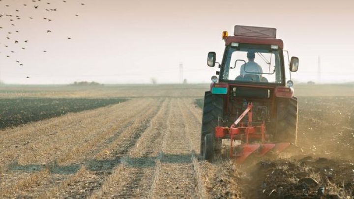Dövlət başçısı: “Azad edilmiş torpaqlarda vaxt itirmədən əkin işlərinə başlamışıq"