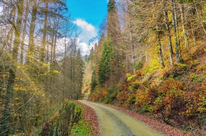 Sabahın hava proqnozu açıqlandı