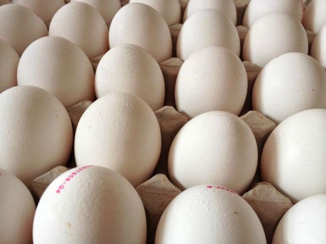 "Azərbaycanda anbarlarda 43 milyon ədəd yumurta qalıb, satılmasa ciddi ziyan yaranacaq"