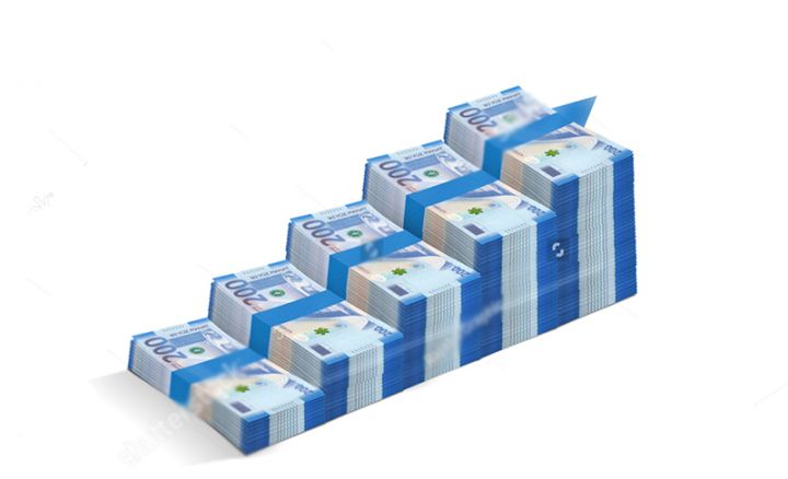 Dövlət şirkəti yığılmış zərərinin 100 milyon manata yaxınlaşdığını açıqladı