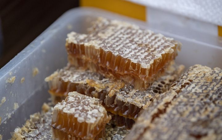 Bu il Bal yarmarkasında 90 tona yaxın arıçılıq məhsulu satılıb