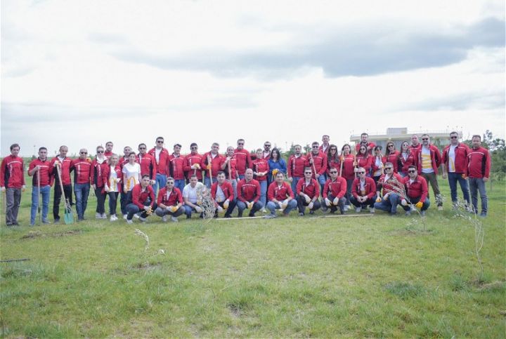 “McDonald’s Azərbaycan” Sumqayıtın yaşıllaşdırılmasına töhfə verib: Şirkətin əməkdaşları ağacəkmə aksiyası keçiriblər! - FOTO