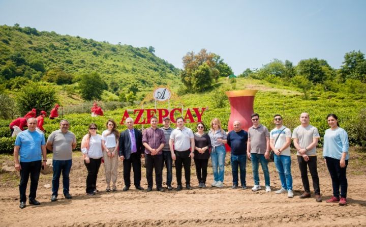 “Azerçay” tərəfindən KİV nümayəndələrinin çay plantasiyalarına media-turu təşkil edilib