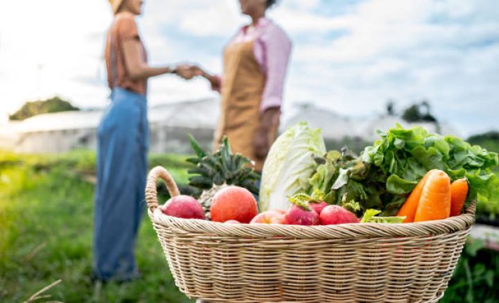 Aqrar sahəyə verilən kreditlər ilə bağlı mühüm DƏYİŞİKLİK - Yeni “kənd təsərrüfatı krediti” anlayışı