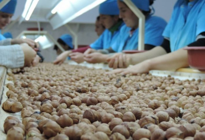 Fındıq istehsalçıları ilə subsidiya mexanizmləri və vergi güzəştləri müzakirə olunub