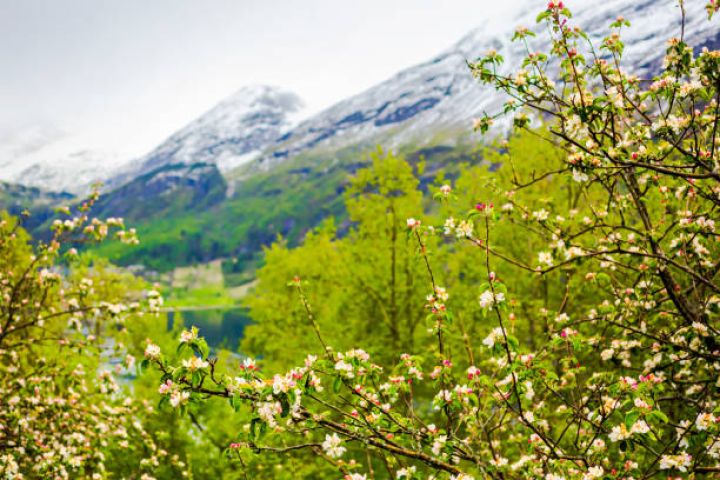 Aprel ayının son gününün havası açıqlanıb