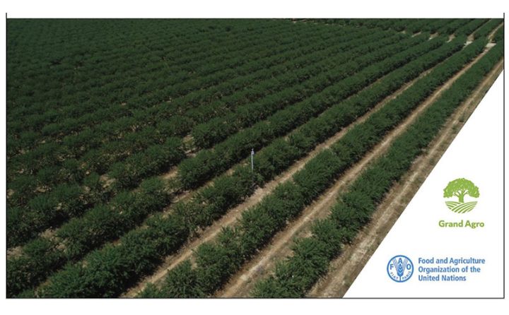 "Grand Agro” şirkəti beynəlxalq layihəyə qoşulub