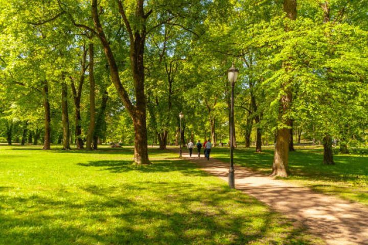 Sabahın hava proqnozu açıqlanıb