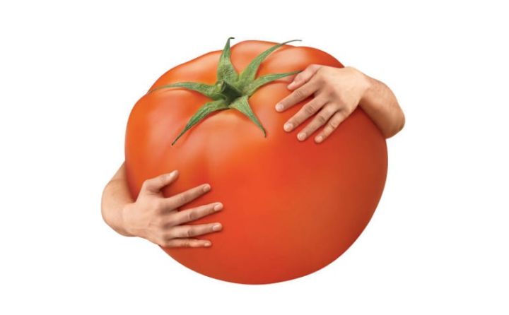 Pomidor 7 ayda ölkəyə 157 milyon dollar valyuta gətirib