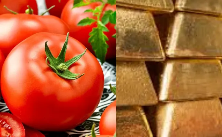 Pomidor qızıl ilə yarışır - Azərbaycanın qeyri-neft sektoru üzrə ixrac rəqəmləri açıqlandı