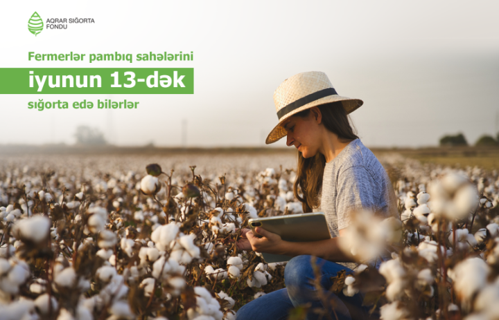 Pambıq sahələrinin sığortası iyunun 13-dək davam edəcək