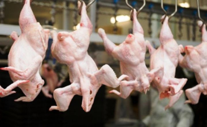 Azərbaycandan quş əti və quş əti məhsulları Çinə daşına bilər