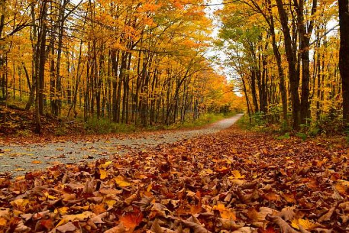 Noyabrın 13-də gözlənilən hava şəraiti